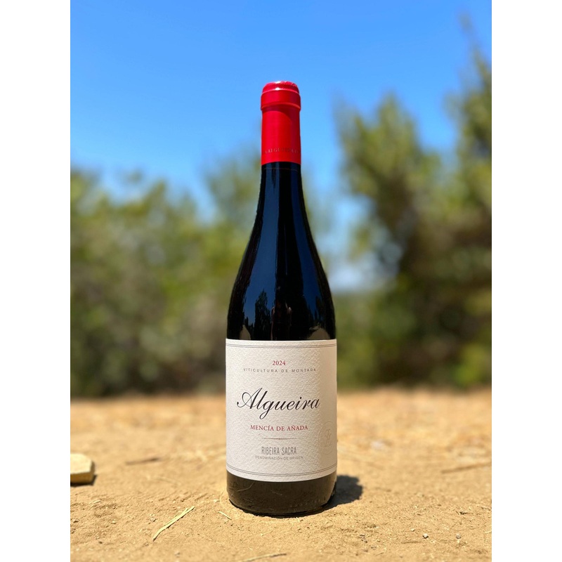 Algueira Menca de Anada Ribeira Sacra