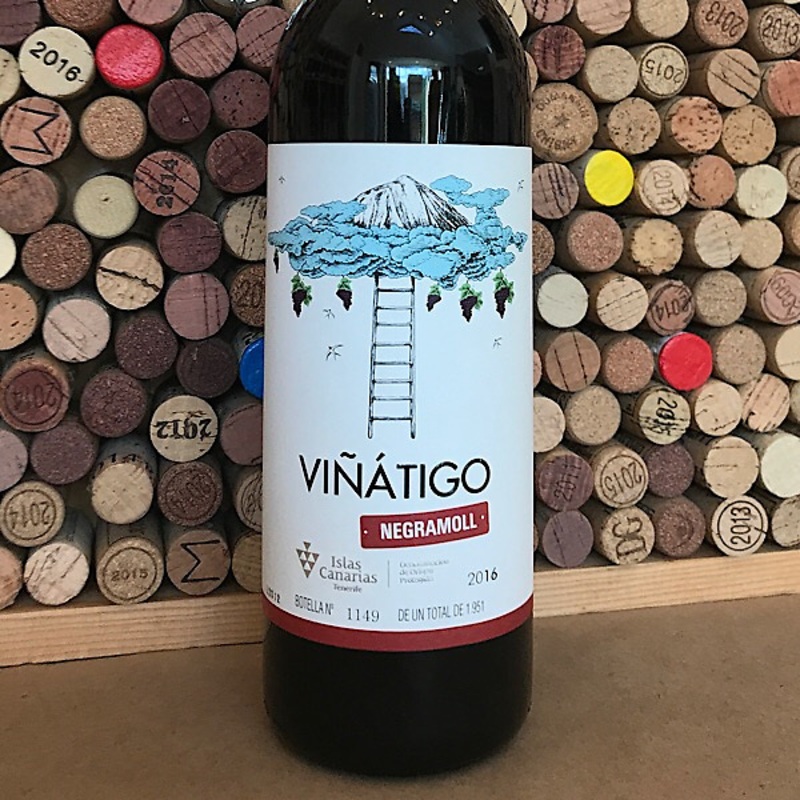 Bodegas Viatigo Negramoll 2016 Negramoll Canary Islands Ycoden-Daute-Isora