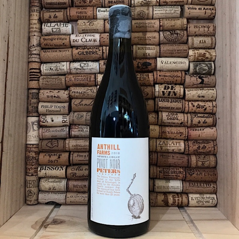 Anthill Farms Peters Vineyard Sonoma Coast Pinot Noir 2020 Regular