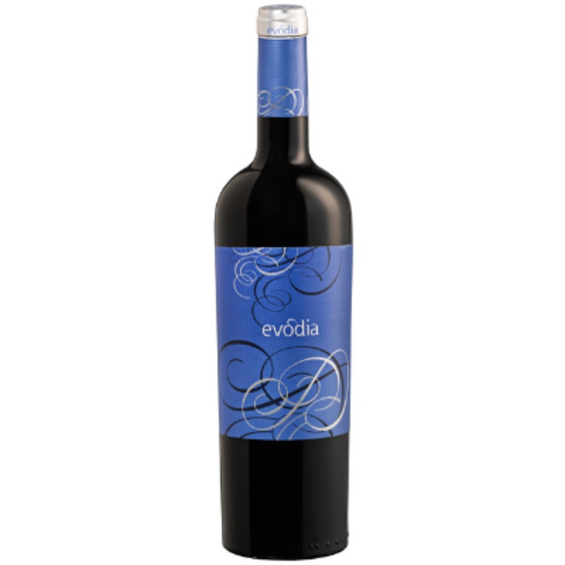 2021 Altovinum Evodia Old Vines Garnacha 750ML Calatayud