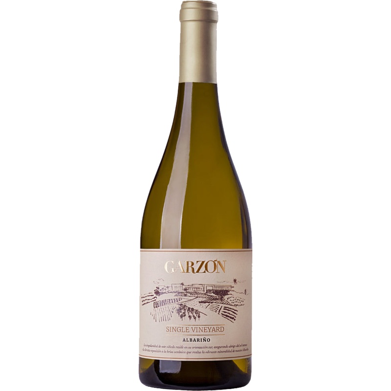 2022 Bodega Garzon Single Vineyard Albarino 401