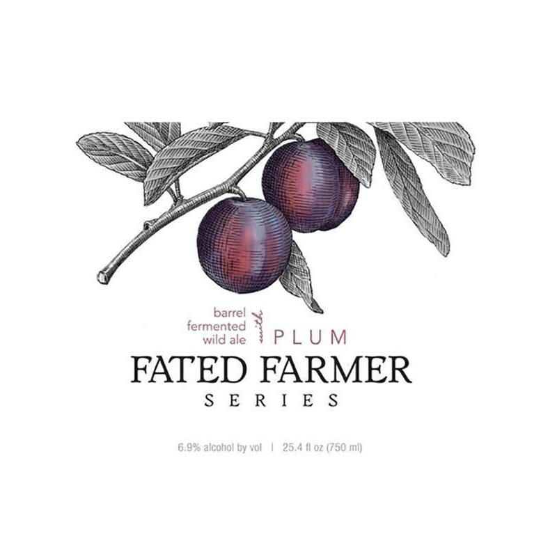 Trillium Brewing Company Fated Farmer Plum